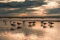 Norderney