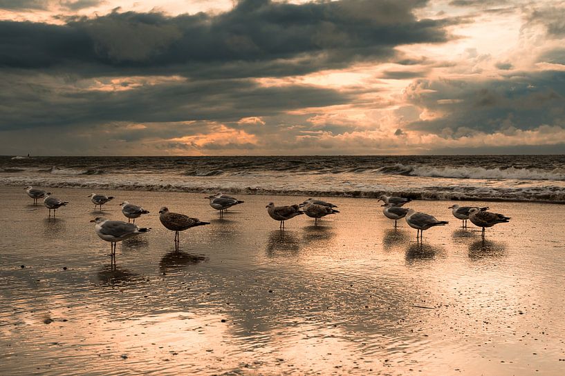 Norderney by Karin Luttmer