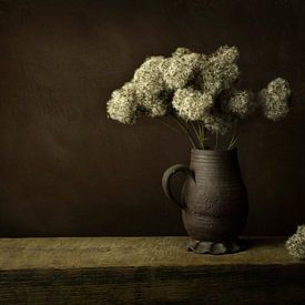 In line with the old masters; dried flower in vase by Joske Kempink
