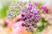 Purple Allium flower and bud. Double exposure