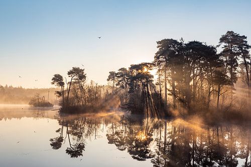 Landschap met zonneharpen en reflectie