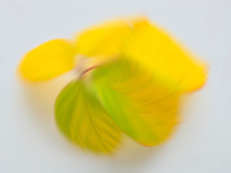 Verspielte Herbstfarben 2 von Jaap Tanis