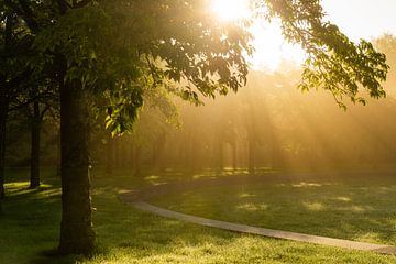 Golden Circle by Koen Boelrijk Photography