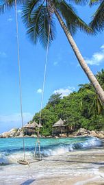 Paradis tropical sur Fotojeanique .