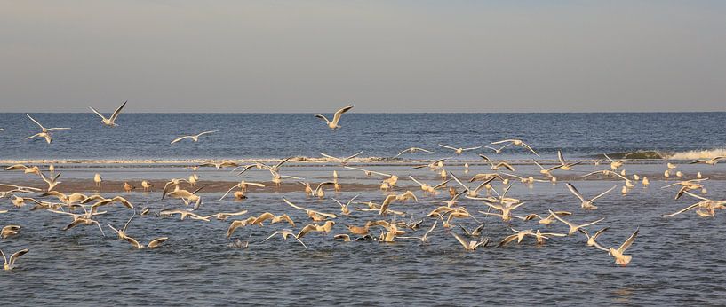 Noordzee van Peet de Rouw