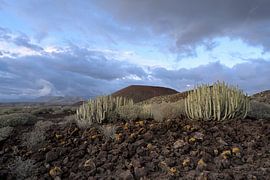 Austere beauty – Tenerife’s volcanic landscape by Rolf Schnepp