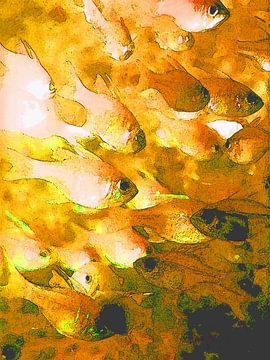 Goldfische von Dirk H. Wendt
