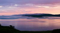 Pink Sunset