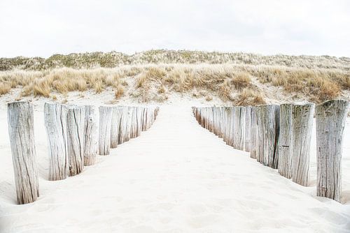 Houten palen tegen met helmgras begroeide duinen.