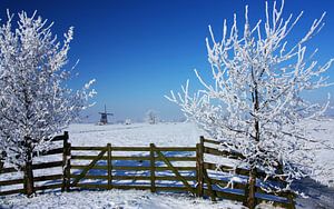 winter in holland van Ilya Korzelius