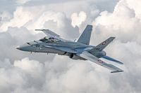 Aus der Schweiz: McDonnell Douglas F/A-18C Hornet.