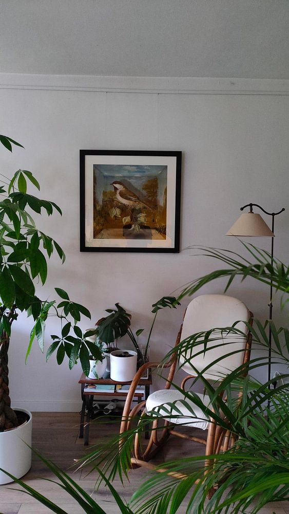 Poecile Cinctus  by Marja van den Hurk 