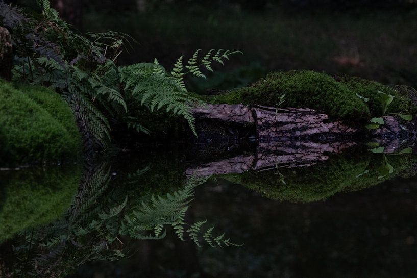 Reflection by @Unique