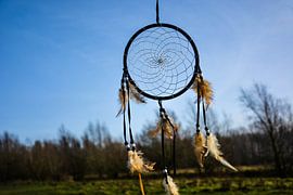 Dromenvanger von Naomi bakker