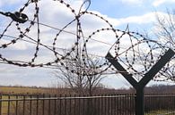 Close up of barbed wire on border fence by MPfoto71 thumbnail