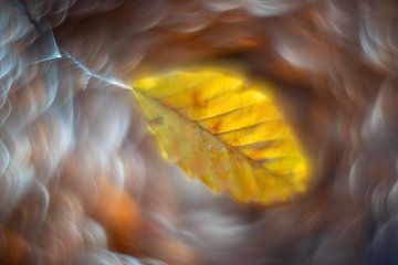Herbst von Erik Bilstra