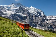 Jungfraubahn von Bart van Dinten Miniaturansicht