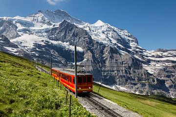 Jungfraubahn by Bart van Dinten