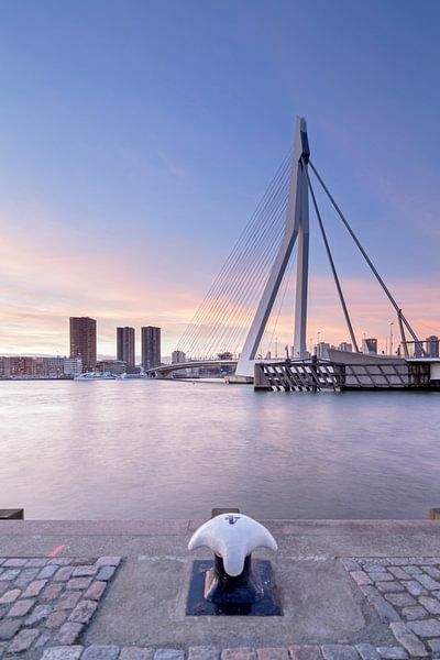 Erasmusbrücke Rotterdam von Jaco Hoeve