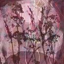 Moderne abstracte botanische kunst. Bloemen en planten in roze, paars, bruin. van Dina Dankers thumbnail