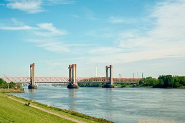 Pont Spijkenisse sur la Meuse