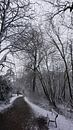 Sneeuwsezoen van fotograaf chaimaa thumbnail