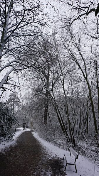 Sneeuwsezoen van fotograaf chaimaa