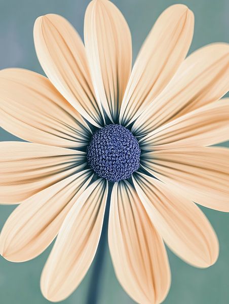 Blume von Bert Nijholt