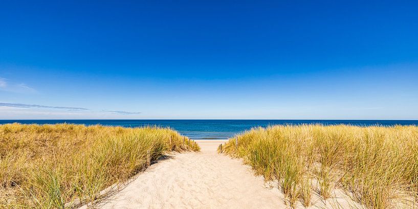 Path to the beach in the Baltic seaside resort of Dierhagen on the Baltic Sea by Werner Dieterich