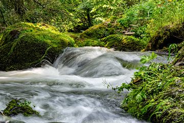 Gebirgsbach im Vogtland Langzeitbelichtung von Animaflora PicsStock