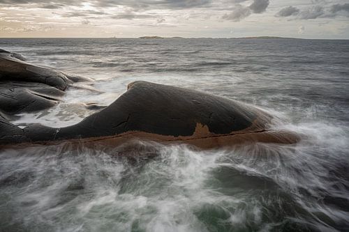 De granieten walvis van Ramsvikslandet