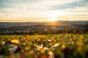 Sonnenaufgang über Kempten mit Blick auf die Alpen