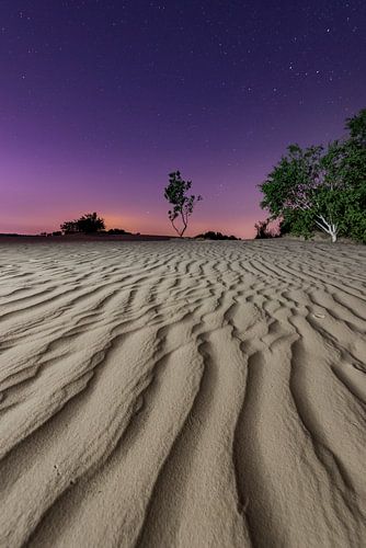 La nuit - Dunes de Loonse et Drunense sur Laura Vink