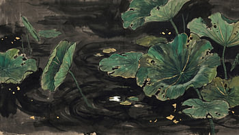 Lotus Nocturne doré