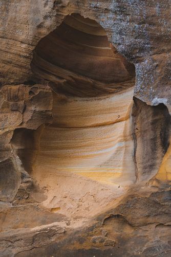 De Natuurlijke Pracht van Sydney: Een Stedelijke Oase