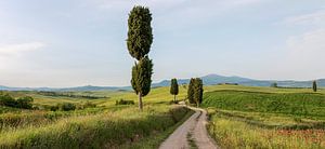 Die Straße des Gladiators von Bart Ceuppens