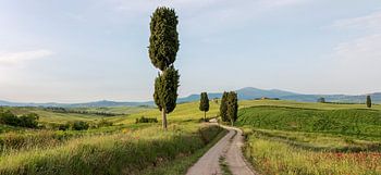 Gladiator's road
