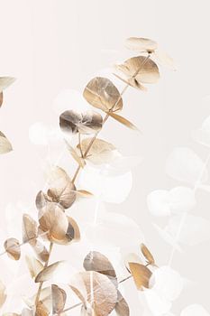 Eucalyptus Creative Gold 02