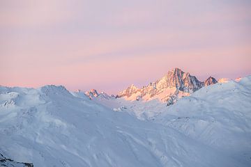 Eerste Licht op de Finsteraarhorn van José IJedema