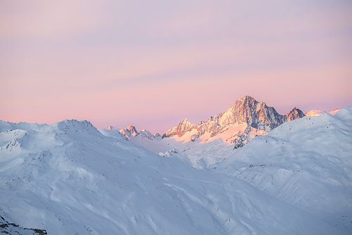 Eerste Licht op de Finsteraarhorn