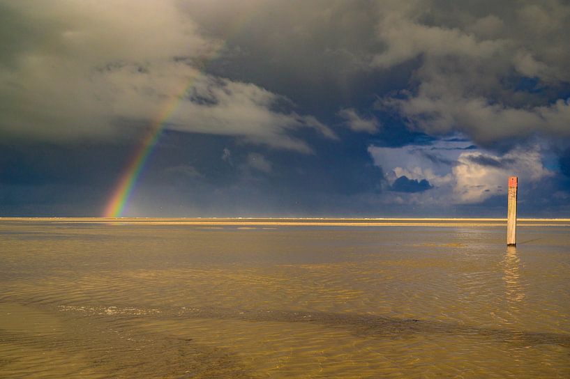 Regenboog op het strand van Texel in de Waddenzee van Sjoerd van der Wal Fotografie