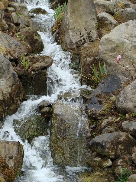 watervalletje by David Van der Cruyssen