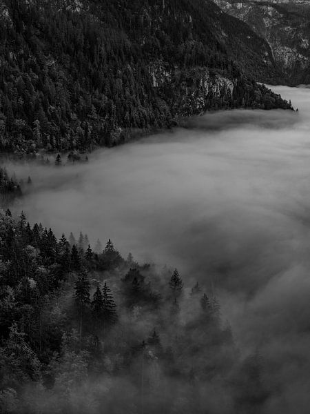 Im Nebel am Königssee von Thomas Weber