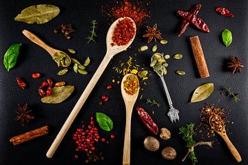 Herbs and spices with wooden ladles by Carola Schellekens