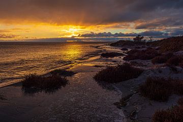 La côte de la mer Baltique au coucher du soleil sur l'île de Mön au Danemark