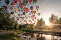 Een avondje ballonnen kijken, gevat in 1 foto van Wesley Heyne thumbnail