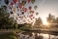 Een avondje ballonnen kijken, gevat in 1 foto