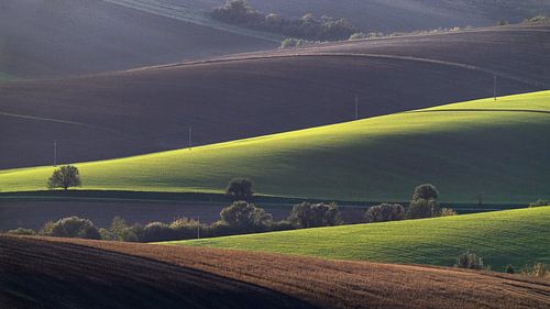 Mährische Hügellandschaft in der Herbstsonne