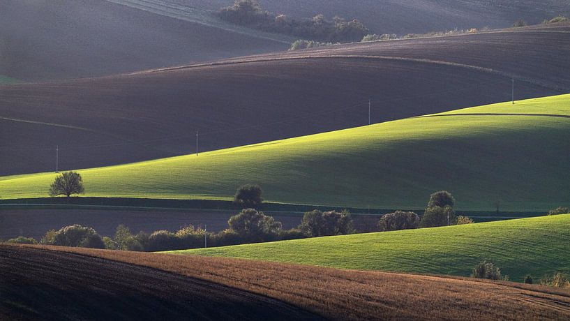 Moravia's rolling countryside in autumn sunshine by Anges van der Logt