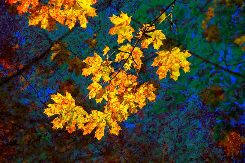 Goldener Oktober von Thomas Jäger